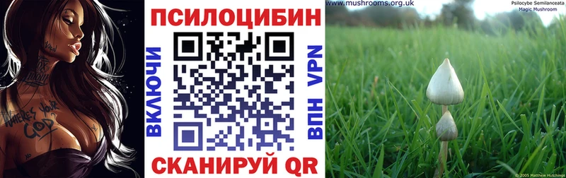 Галлюциногенные грибы мицелий  Мегион 